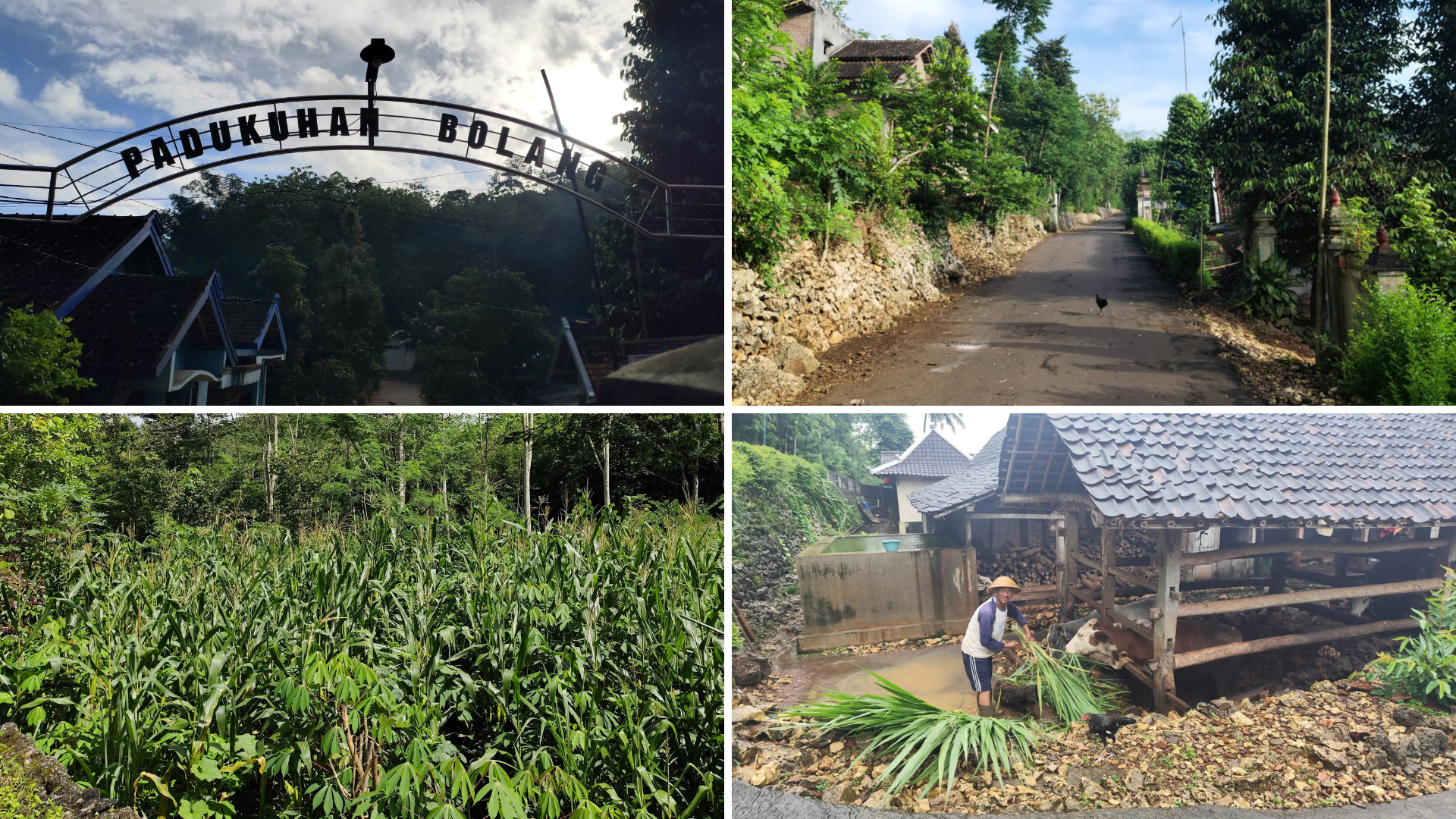 Grid foto seputar kehidupan dan suasana di Padukuhan Bolang